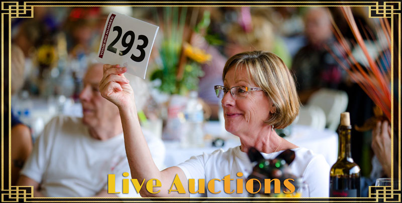 live-auctions_800x405